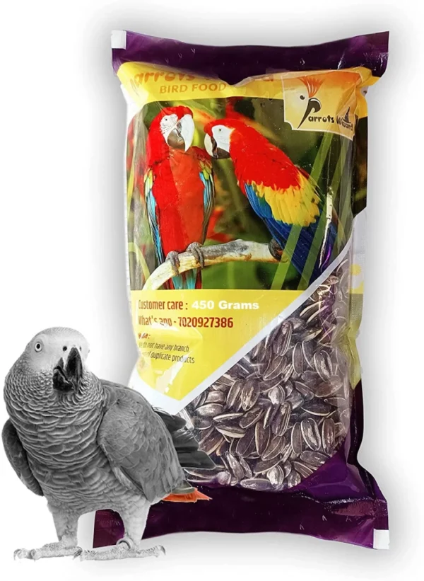 2 kg Large Size Sunflower Seeds for Gray Parrot,Indian Parrot,Macaw, <br>Cockatoo and Exotic Birds