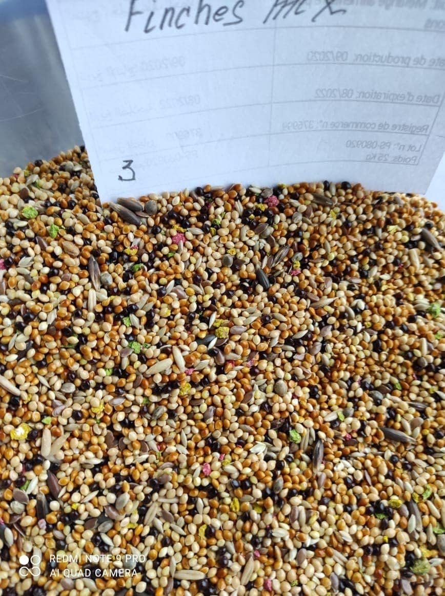 MyPetShop Premium Seed Mix for Small Birds 2 kg – Lovebirds, Budgies, Canaries & Finches, with Vitamins A, D3, E & Iodine - Image 12