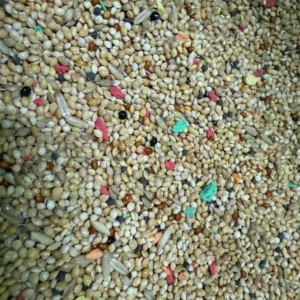 MyPetShop budgie seed mix 2 kg with millet, canary seed, oats and colourful pellets