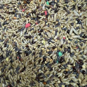 MyPetShop canary seed mix 2 kg with canary seed, rapeseed, niger seed and colourful pellets