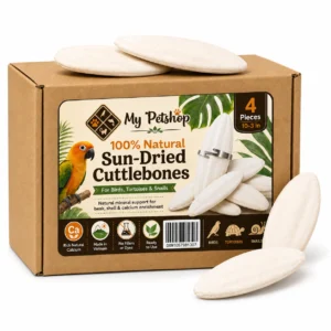 My Pet Shop large cuttlebone for birds, four-piece pack and box on a white background