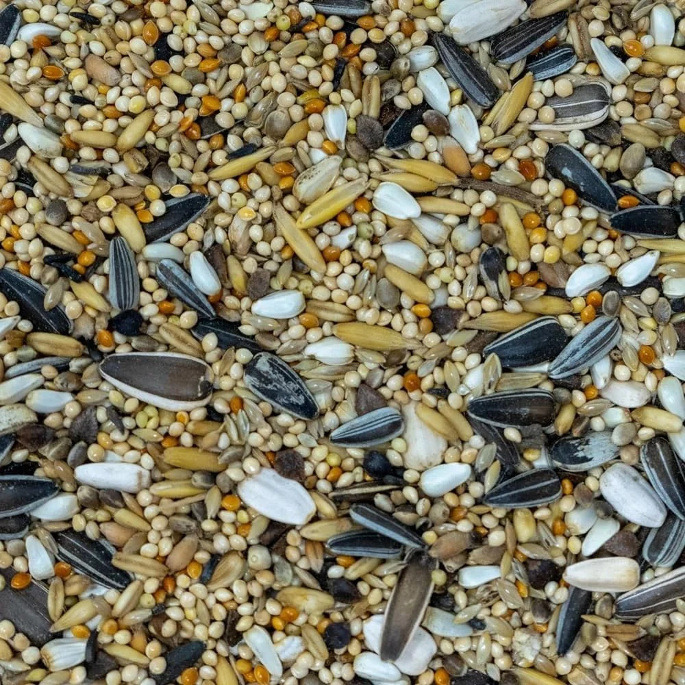 MyPetShop cockatiel and parakeet food 2 kg seed and pellet mix close-up