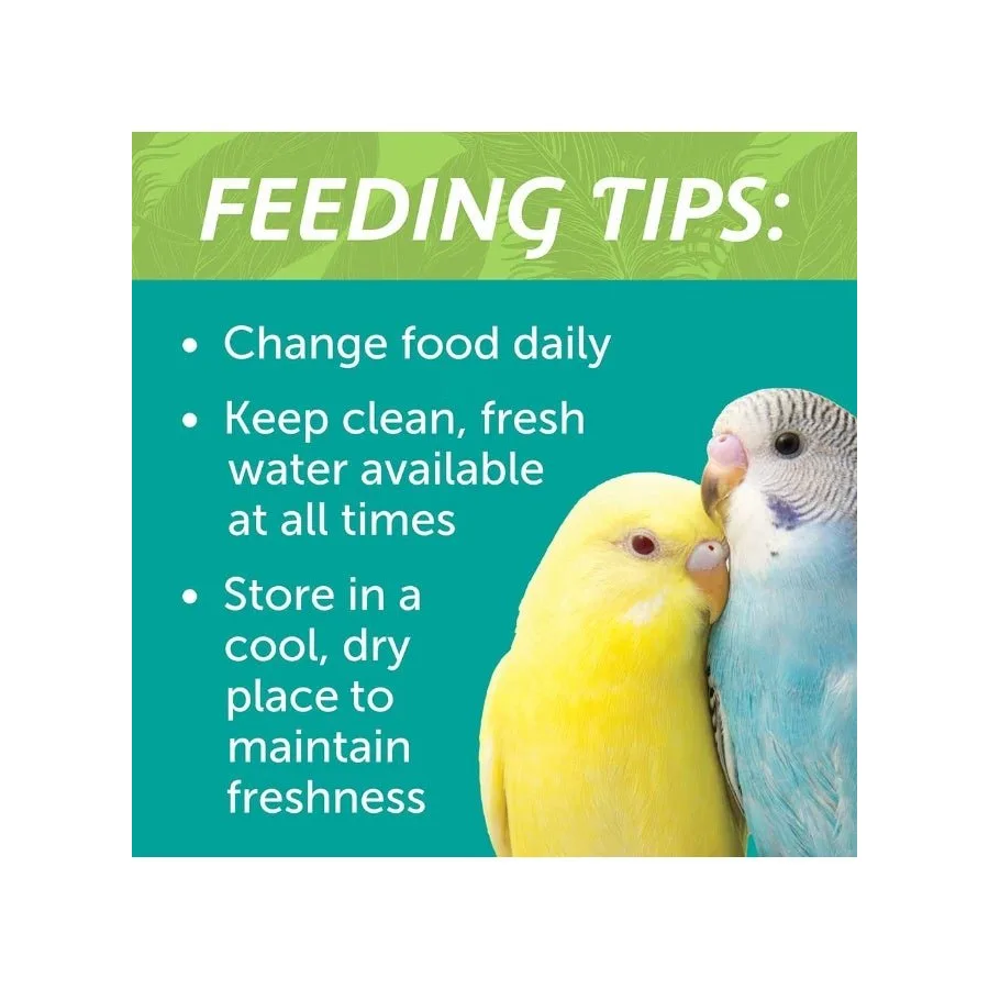 Feeding tips – change food daily, keep fresh water, store cool and dry