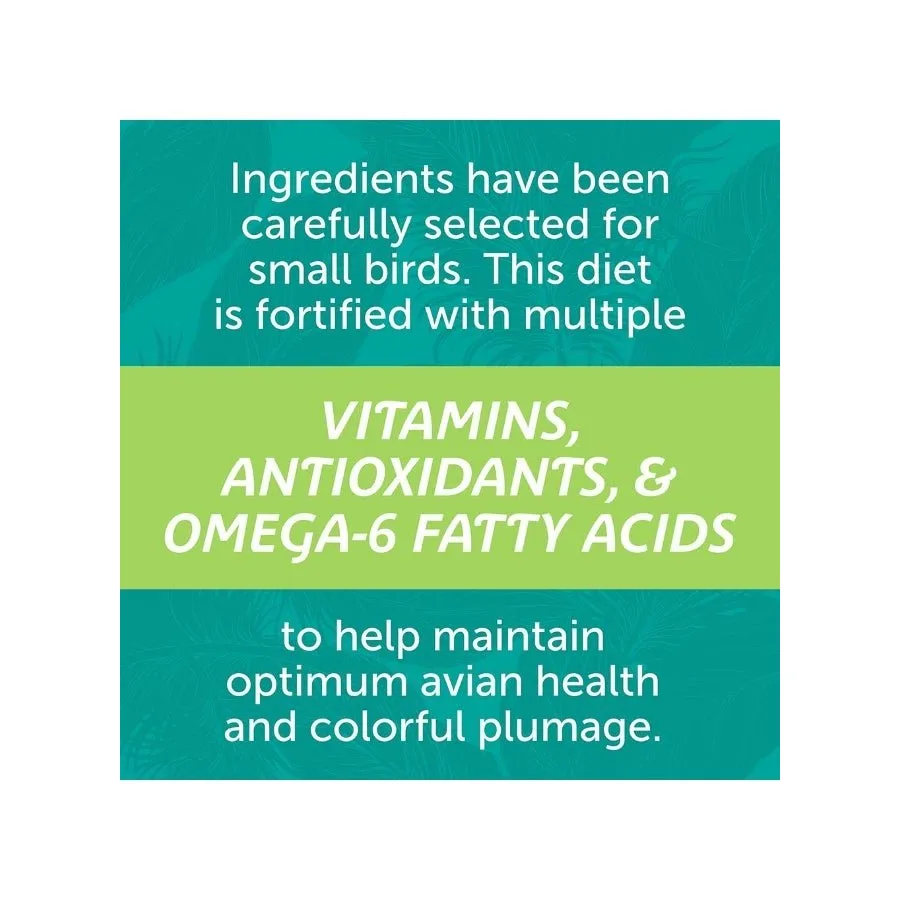 Seed mix fortified with vitamins, antioxidants and omega-6 fatty acids