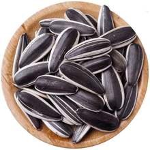 MyPetShop X-Large Jumbo Sunflower Seeds for Birds – 1.5 kg - Image 2