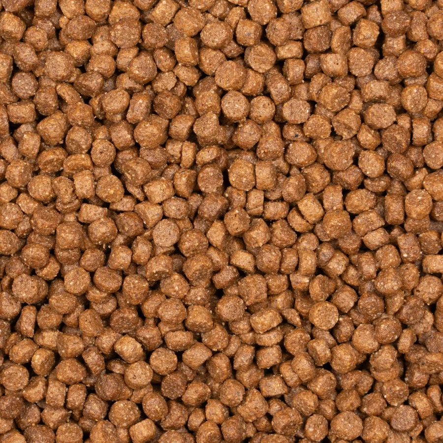 Close-up of Voskes Kitten Complete Chicken dry cat food kibble